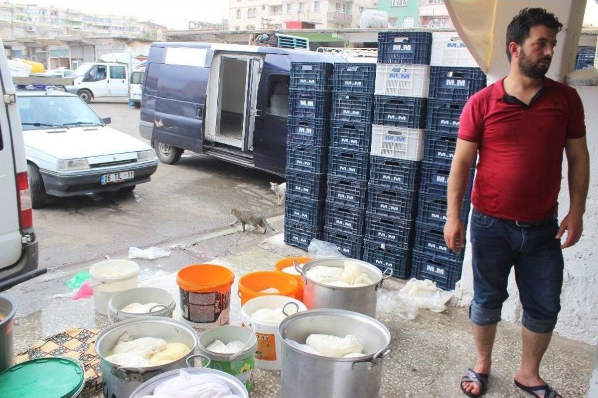 G&uuml;nde 100 Ton Peynir &Uuml;retilen Siverek&rsquo;te Patentli &Uuml;retici Yok