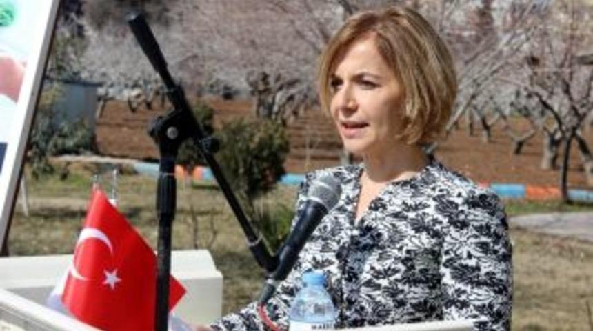 Mera Islah İle Amenajman Projelerinin Bilgilendirme Toplantısı