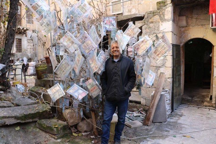 Dünyanın En Pahalı Ağacı G2