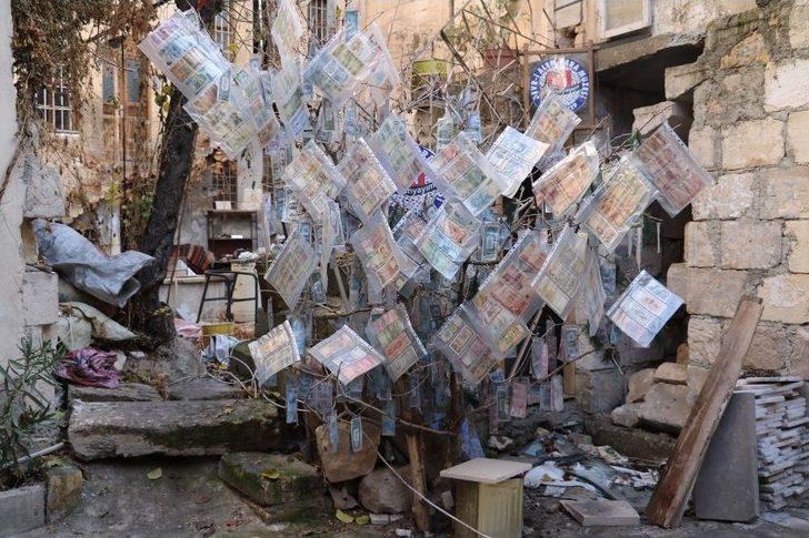 Dünyanın En Pahalı Ağacı G3