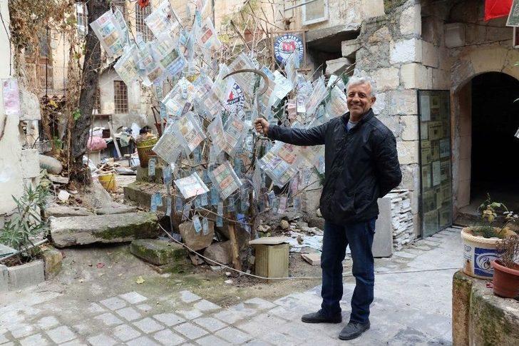 Dünyanın En Pahalı Ağacı G4