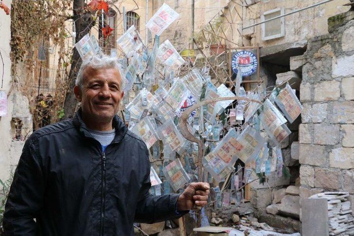 Dünyanın En Pahalı Ağacı G5