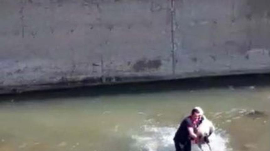 Harşit &Ccedil;ayı&rsquo;ndaki K&ouml;peği Kurtarmak İ&ccedil;in Seferber Oldular