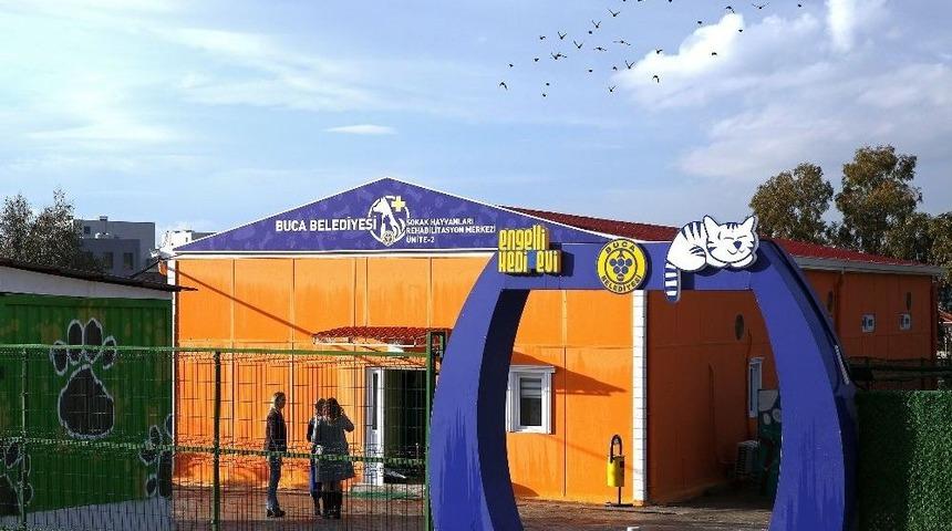 Buca&rsquo;da Sokak Hayvanları G&uuml;venli Ellerde