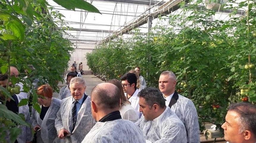 Rus Heyet Salihli’de Domates Seralarını İnceledi