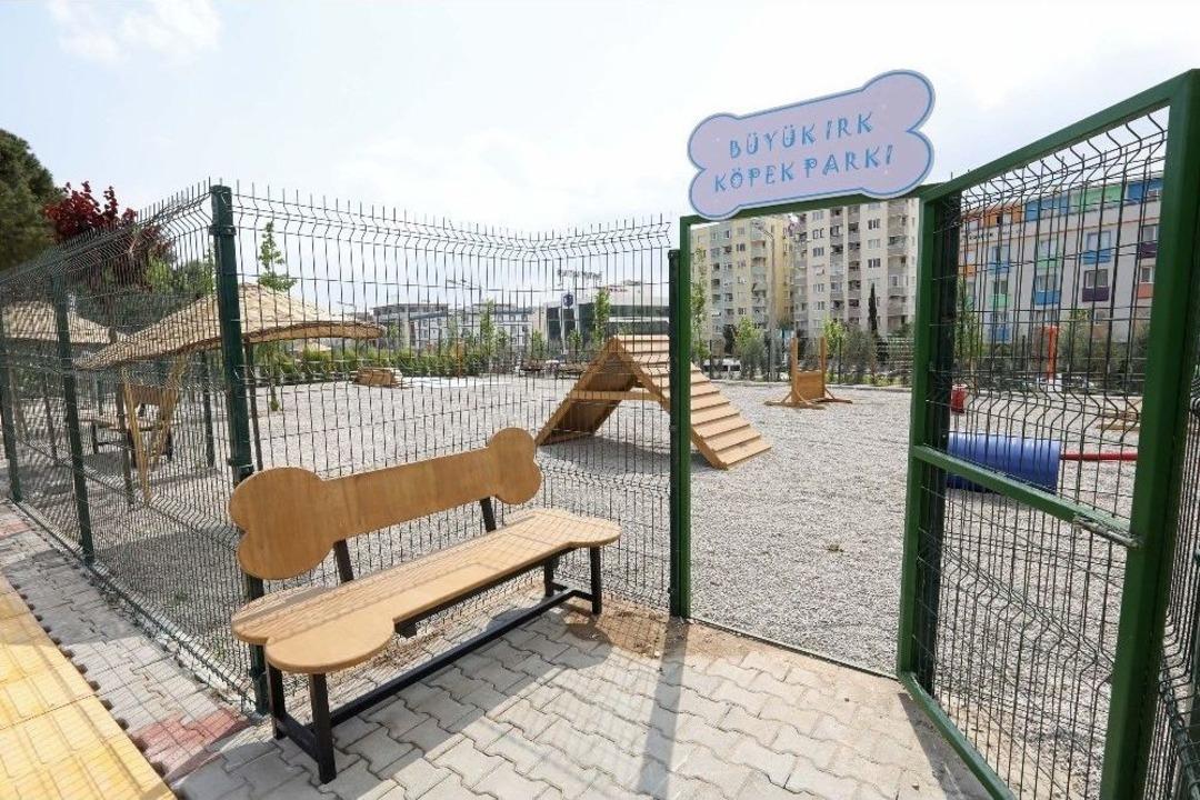 Buca&rsquo;da Can Dostlarına Yeni Yaşam Alanı