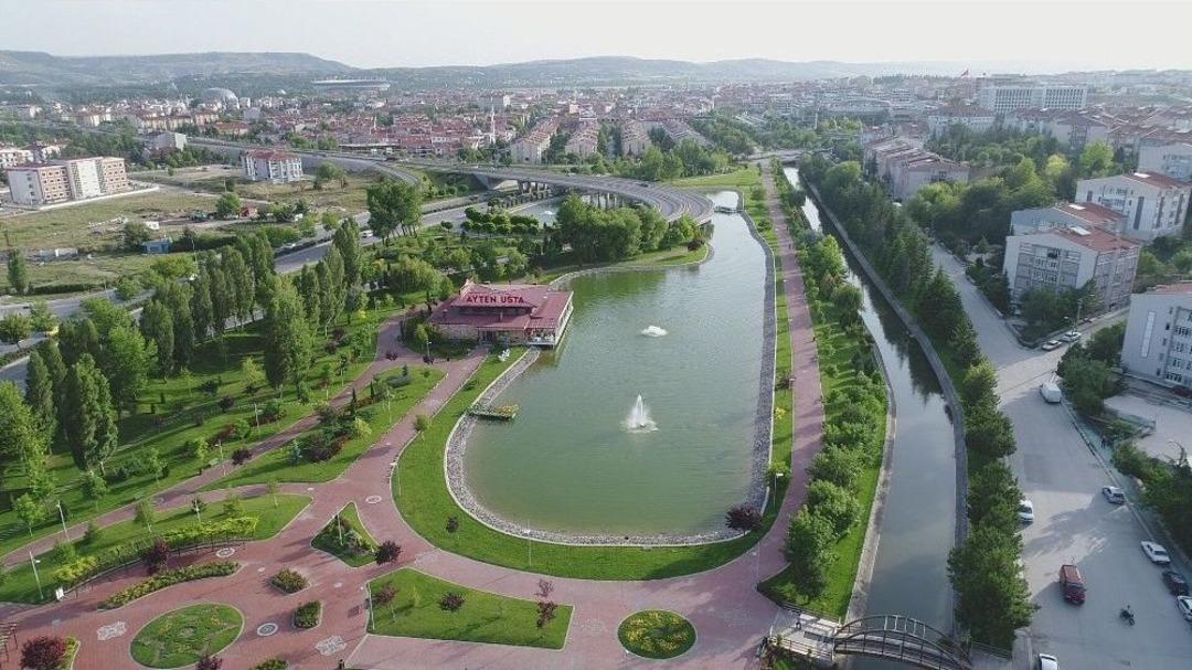 Şehrin Ortasında Yabani Hayat