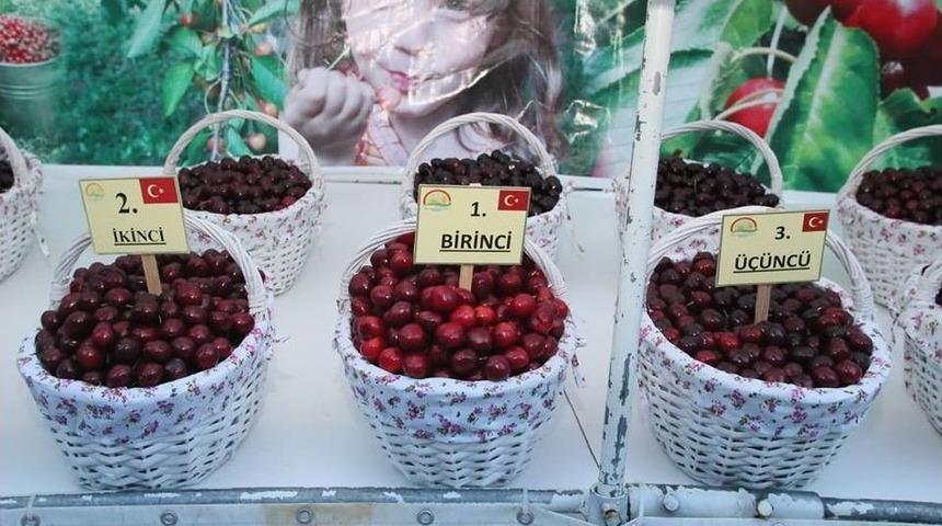 Kirazın Y&uuml;zde 7&rsquo;si Amasya&rsquo;dan