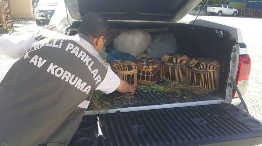 Van&rsquo;ın Gevaş İl&ccedil;esinde Keklik Avcılarına Ceza