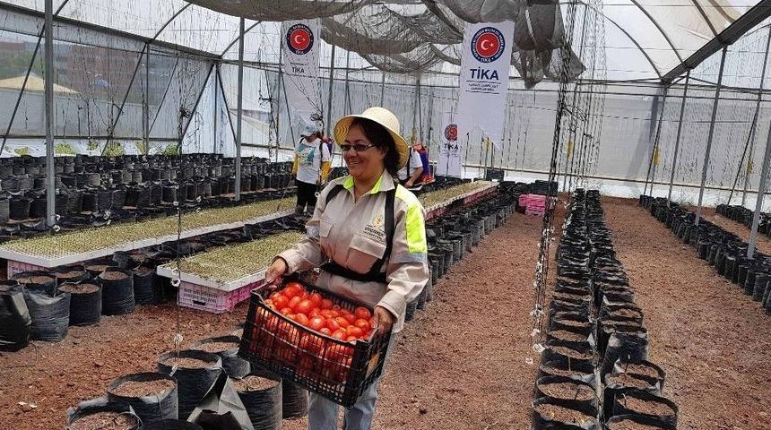 Tika&rsquo;dan Meksika&rsquo;da Sera Kurulumu