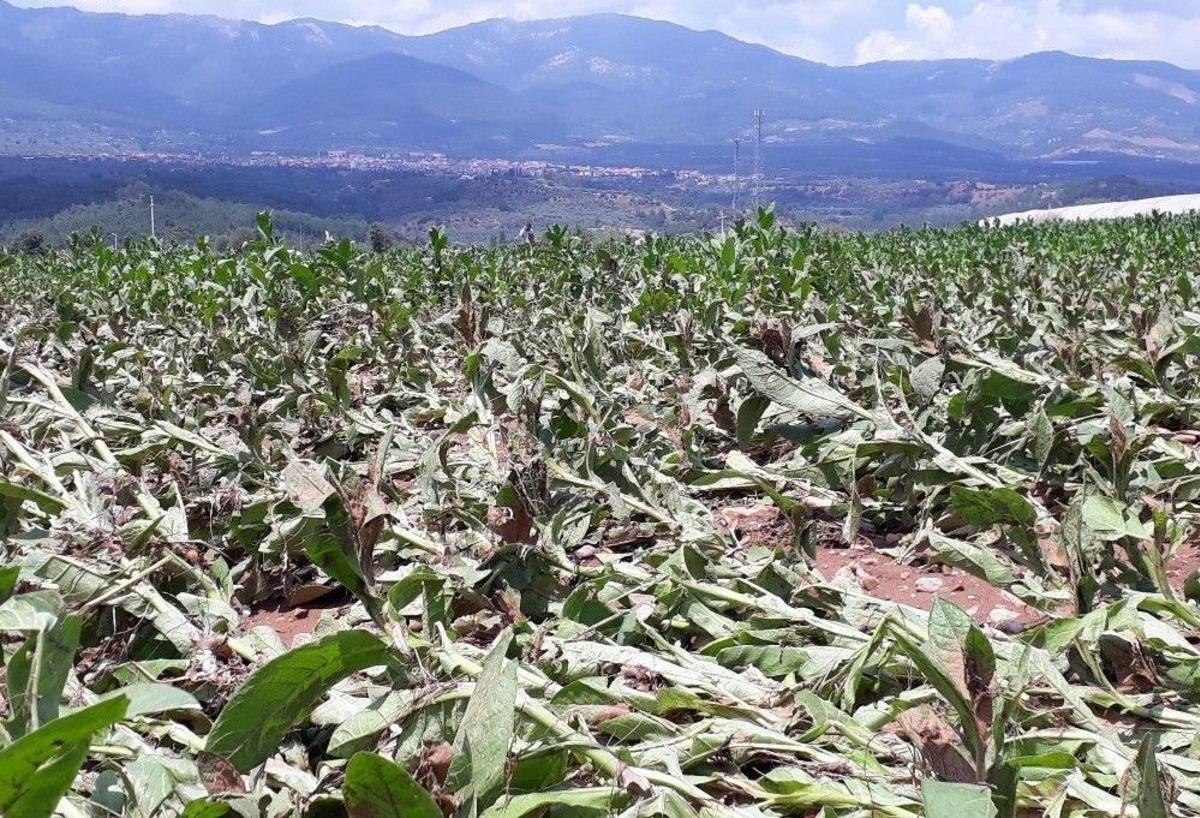 5 G&uuml;nde İkinci Kez Sel Ve Dolu Vurdu