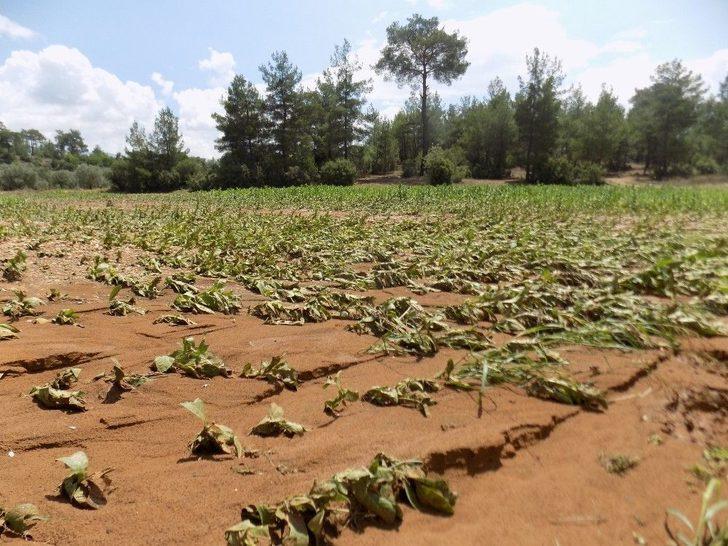 5 Günde İkinci Kez Sel Ve Dolu Vurdu G4