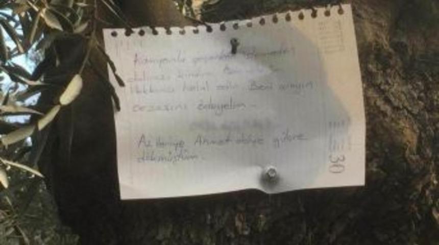 Kamyonla Ge&ccedil;erken Kırdığı Dal İ&ccedil;in Zeytin Ağacına Astığı Not Duygulandırdı