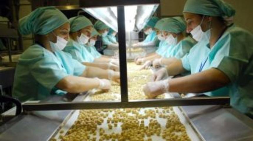 D&uuml;zce&rsquo;den 705 Ton İ&ccedil; Fındık İhra&ccedil; Edildi