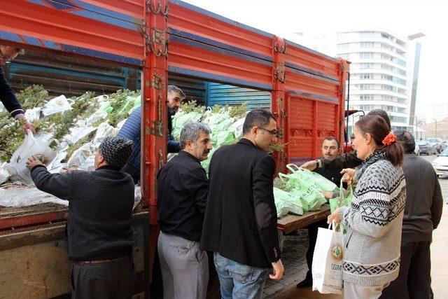 Sivas’ta ‘ağaç Kesme, Fidan Dik’ Kampanyası