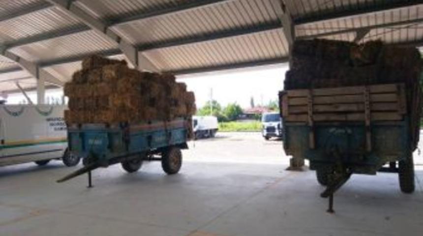 Kapalı Pazar Yeri, Yem Bitkilerinin Korunağı Haline Geldi