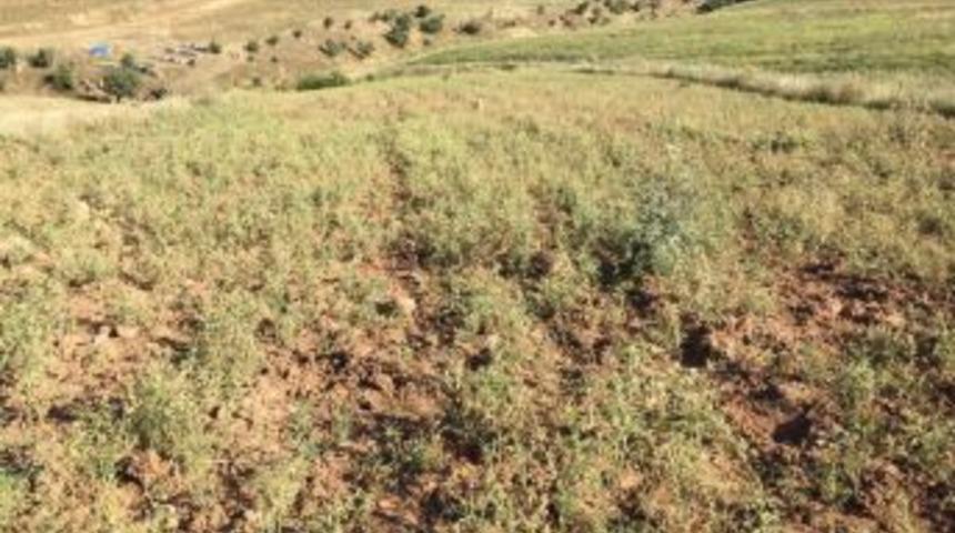 Siirtli &Ccedil;ift&ccedil;iler Destek Bekliyor