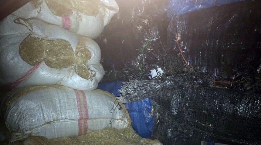 Van&rsquo;da 800 Kilo Ka&ccedil;ak &Ccedil;ay Ele Ge&ccedil;irildi