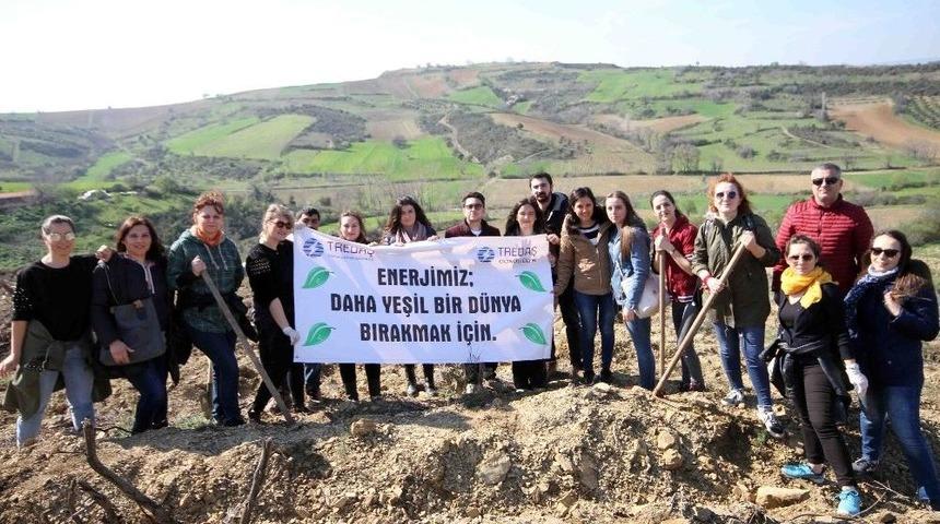 Tredaş &Ccedil;alışanları 250 Fidan Dikti