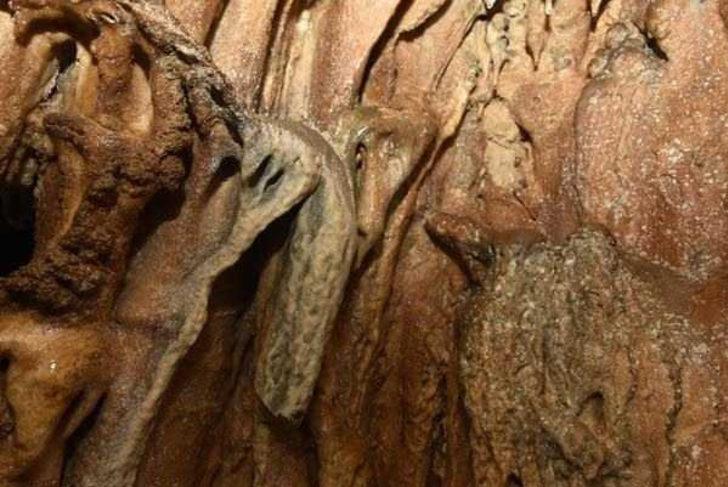 Efsaneleriyle ünlü 40 odalı Arılı Mağarası turizme açılmayı bekliyor G4