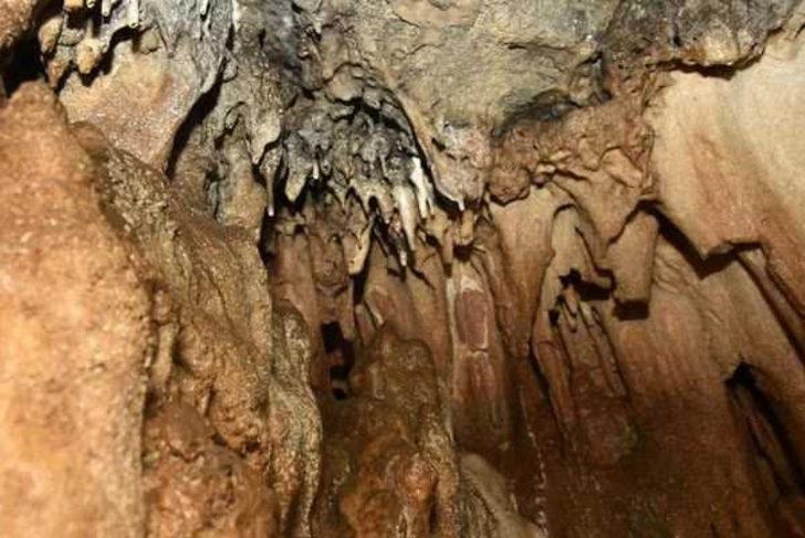 Efsaneleriyle ünlü 40 odalı Arılı Mağarası turizme açılmayı bekliyor G5