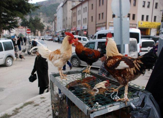 Hindi Satışlarında Sıkı Pazarlık