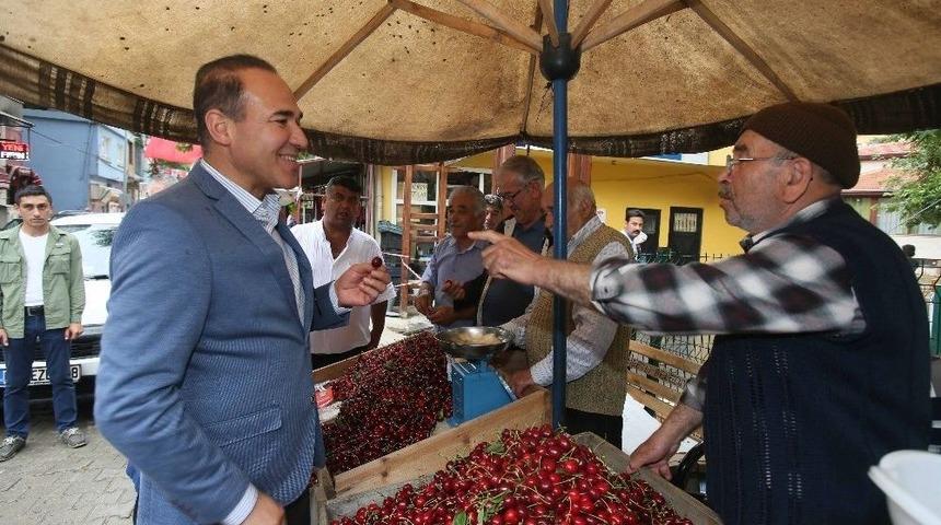 Saimbeyli K&uuml;lt&uuml;r Sanat Ve Kiraz Festivali