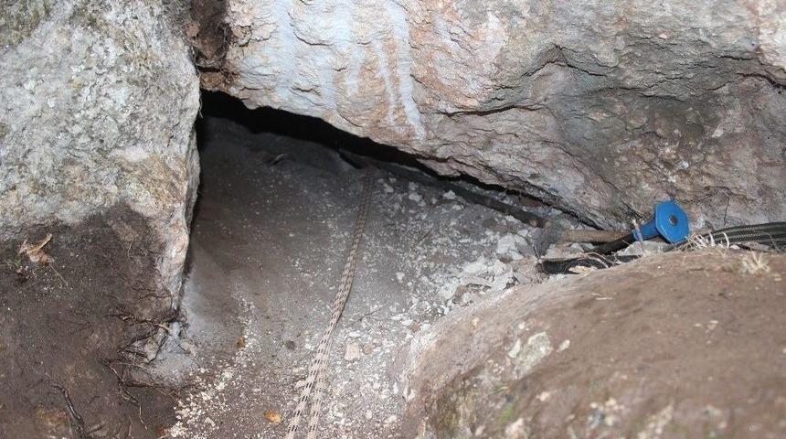 Kayalığa Sıkışan K&ouml;pek Yedinci G&uuml;n&uuml;nde Kaderine Terk Edildi