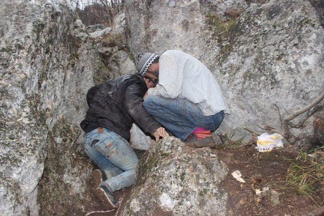 Kayalığa Sıkışan Köpek Yedinci Gününde Kaderine Terk Edildi