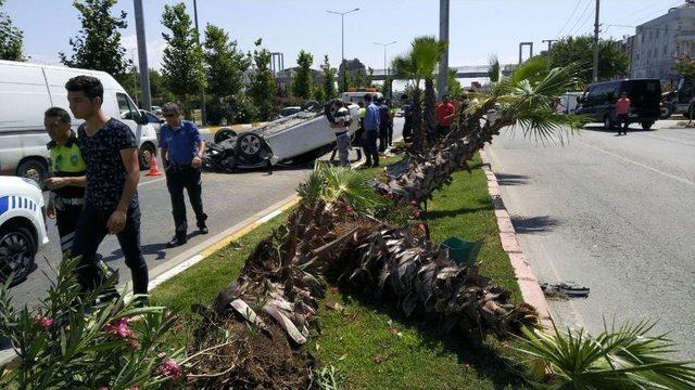 Takla Atan Araç Ağaçlara Çarparak Durabildi: 3 Yaralı