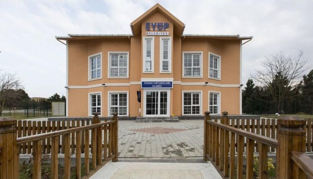 Ey&uuml;psultan&rsquo;da Sokak Hayvanları Kliniği Haftanın 6 G&uuml;n&uuml; Hizmet Veriyor