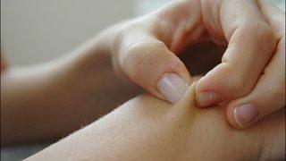 Pancarın Faydaları Nelerdir?