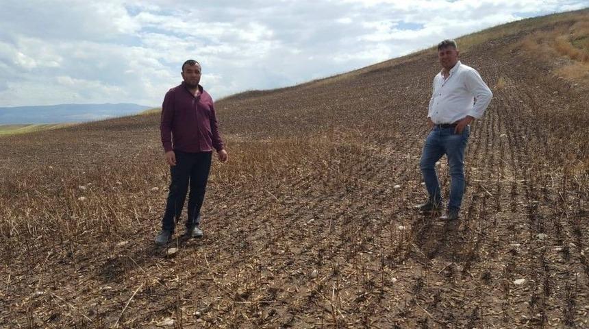 Tarlaya D&uuml;şen Yıldırım 15 Dekar Alanı K&uuml;l Etti