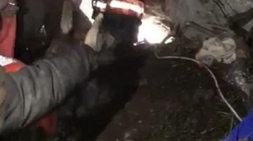 Haberimiz Yetkilileri Harekete Ge&ccedil;irdi Ve K&ouml;pek Kurtarıldı