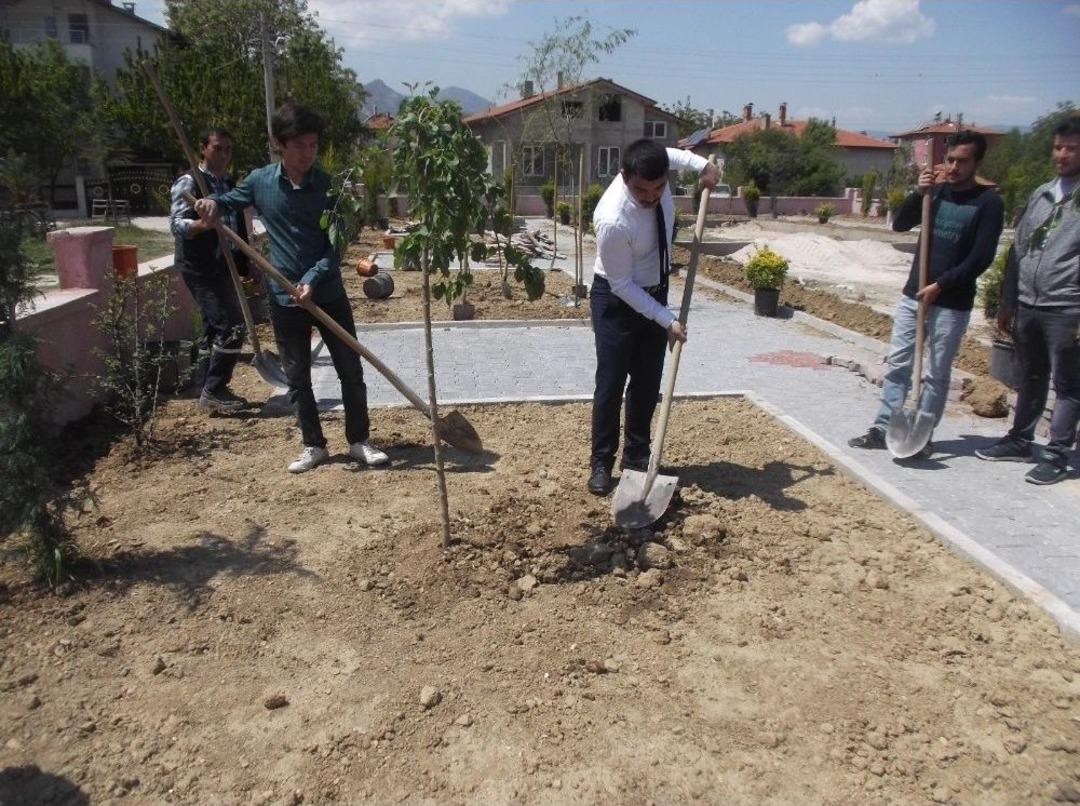 Sav&rsquo;da Fidan Dikim Etkinliği