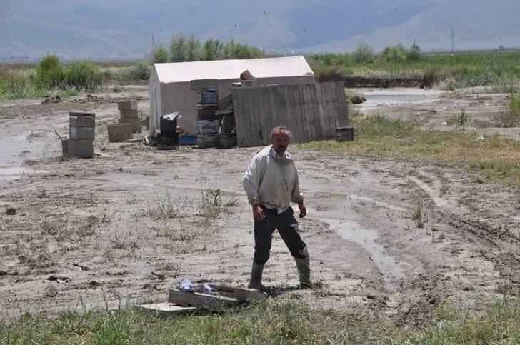 690 Arılı Kovan Sular Altında Kaldı G1