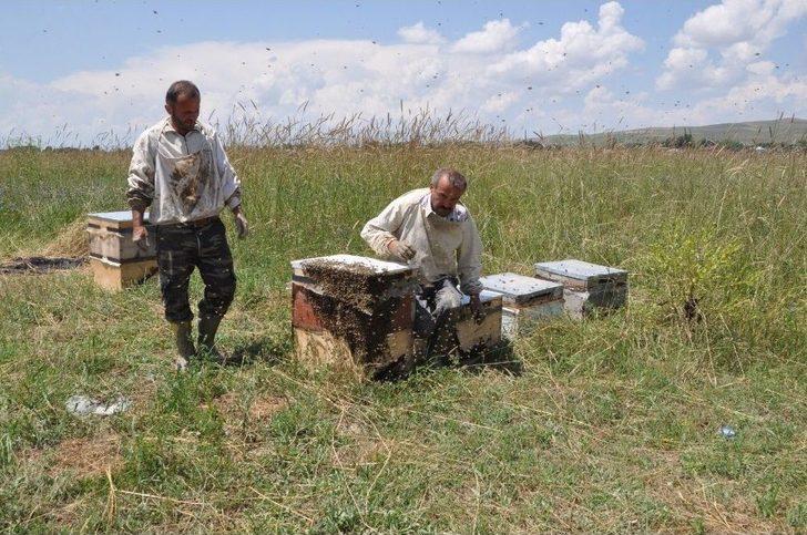 690 Arılı Kovan Sular Altında Kaldı G3