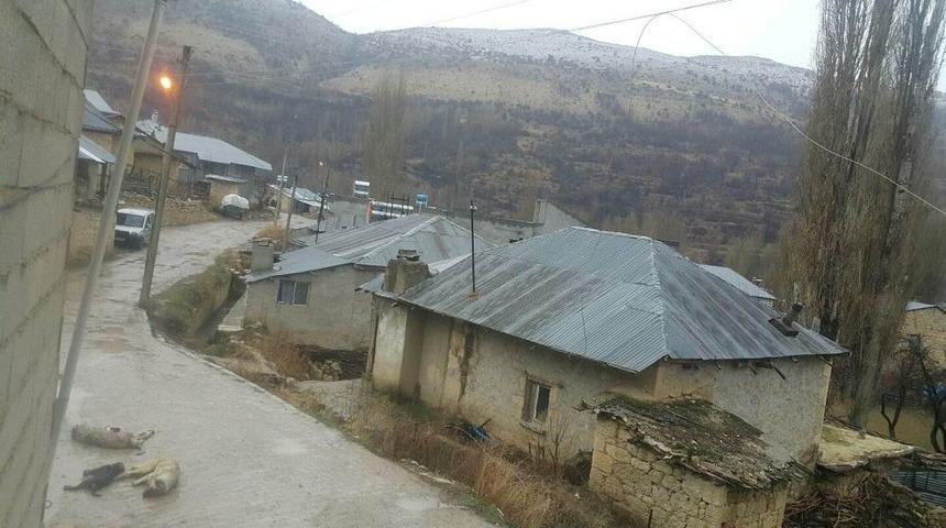 Mersin&rsquo;de Kopan Elektrik Telleri K&ouml;pekleri Telef Etti