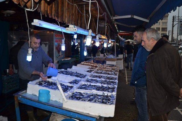 Karadeniz’de Ege Hamsisine Rağbet Yok Gözler Yılbaşından Sonra Rusya Ve Gürcistan’dan Gelecek Hamside