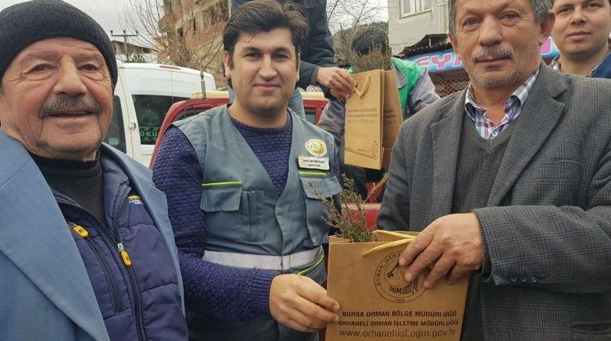 B&uuml;y&uuml;korhan "yeni Yıla Ağa&ccedil; Keserek Değil, Fidan Dikerek Giriyor