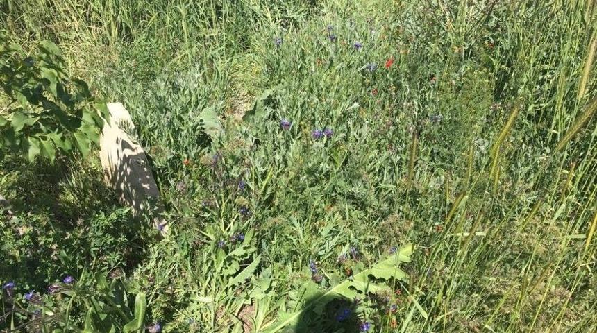 Mehmet&ccedil;ikten Vefa &Ouml;rneği