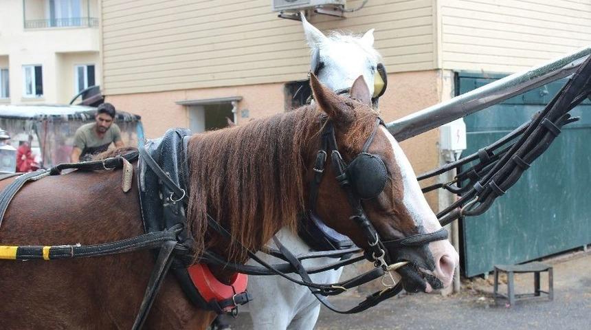 Cumhurbaşkanı Erdoğan&rsquo;ın A&ccedil;ıklamasından Sonra Faytoncular Odası Başkanı Konuştu