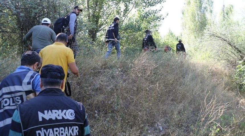 Diyarbakır&rsquo;da 2 Bin 675 K&ouml;k Kenevir Ele Ge&ccedil;irildi