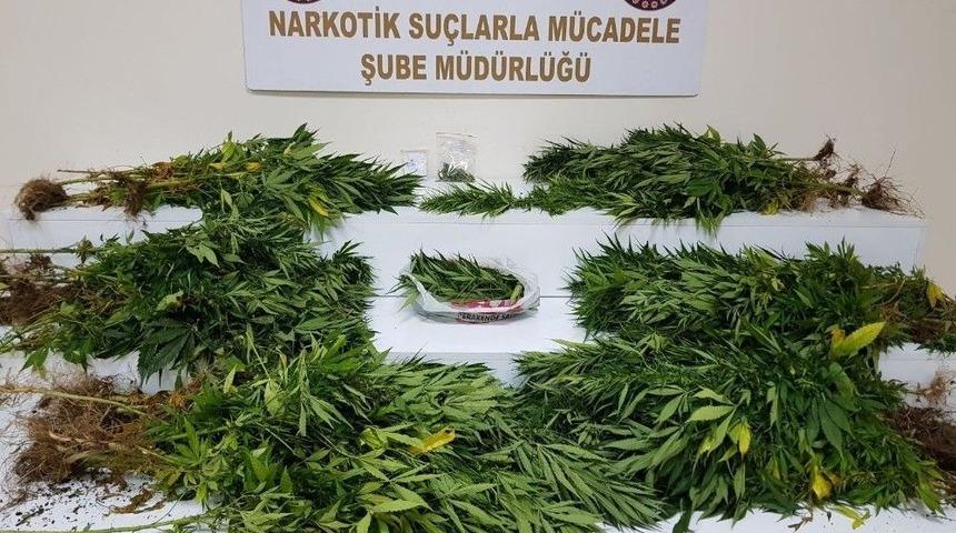 Gaziantep&rsquo;te Uyuşturucu Satıcılarına Operasyon: 11 Tutuklama