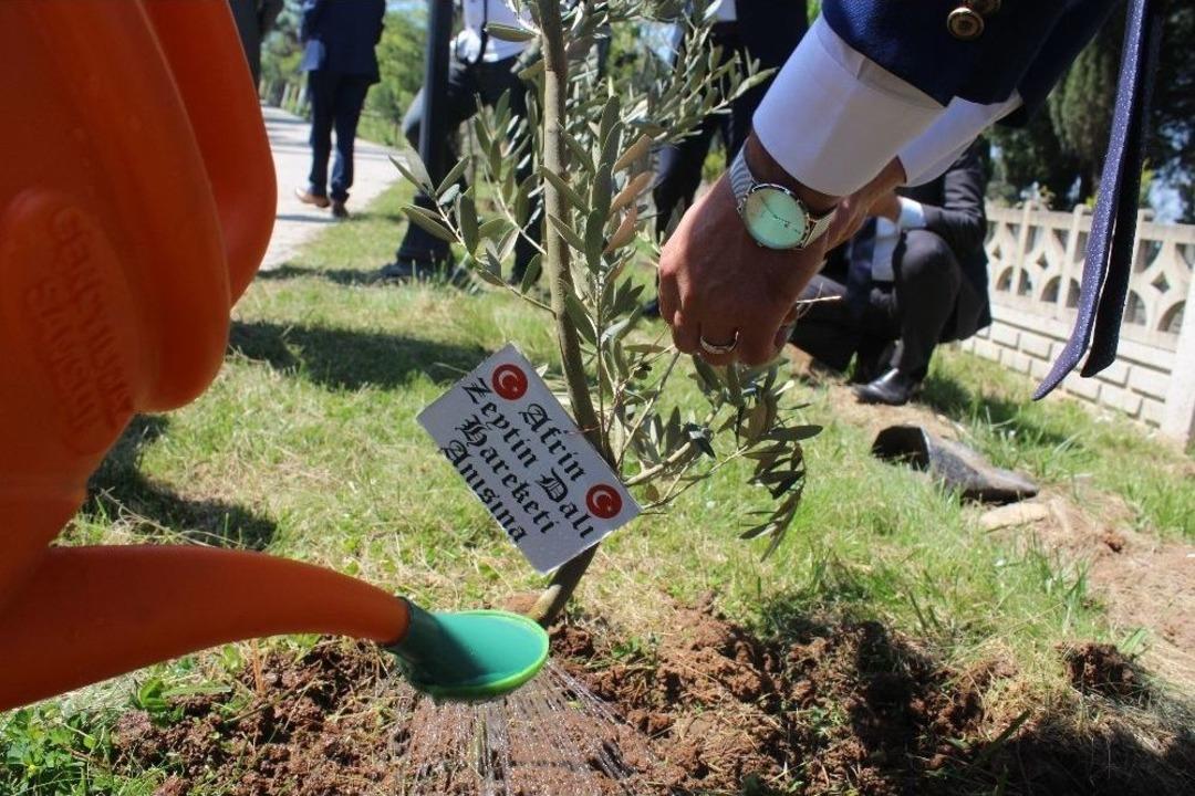 Zeytin Dalı Harekatı&rsquo;nı Unutturmamak İ&ccedil;in Zeytin Fidanı Diktiler