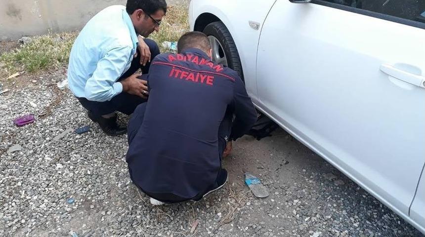 Araç Altına Sıkışan Köpek Kurtarıldı