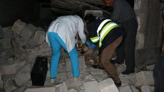 Enkaz Altında Kalan Köpek 16 Saat Sonra Çıkarıldı