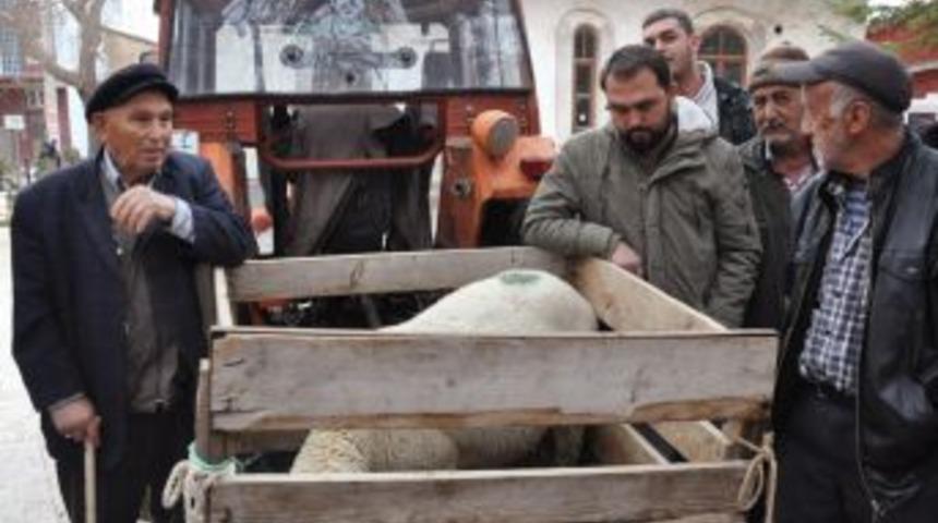 Açık Arttırma İle Satılan Küçükbaş Hayvanın Geliri Camiye Bağışlandı