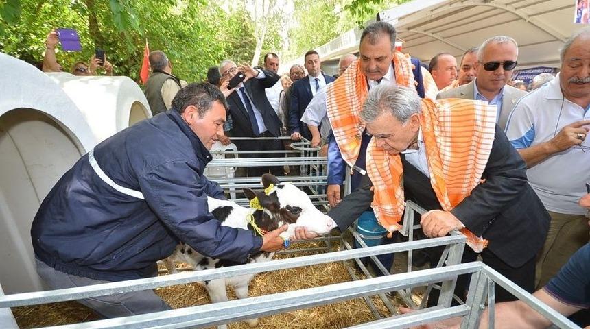 İzmir Tarımda Şaha Kalktı