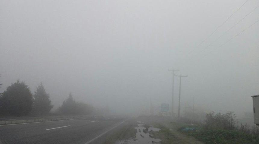 Aydın-denizli Karayolunda Yoğun Sis